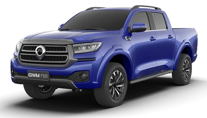 2.4T double cab LS